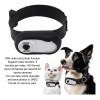 Cámara Para Collar De Gato Y Perro Hd 1080p Gran