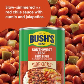 BUSH'S BEST 15 oz Canned Southwest Zest Pinto Beans, Source of Plant Based Protein and Fiber, Low Fat, Gluten Free, (Pack of 12)