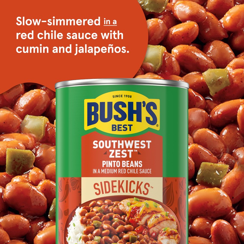 BUSH'S BEST 15 oz Canned Southwest Zest Pinto Beans, Source
