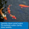 API Pond Accu Clear 32 oz Pond Water Clarifier Clears
