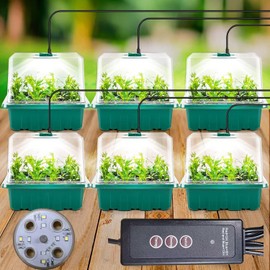 Indoor Greenhouse Propagator Box, Pack of 6 Mini Greenhouse Propagation with High Lid, Seedling Starter with Timing Controller (8 LEDS), Trays Greenhouse Propagation Tray with 10 Labels and 2 Tools