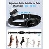Dog Shock Collar with Remote Control: 2000Ft Rechargeable Dog Training