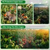 winemana 12 Set Garden Plant Protector Cage, 16x12 in Metal