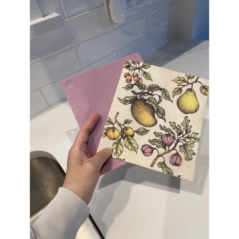 Reuseable Multi-Purpose Cloths Set of 2 with 1 Hook, biodegrable,