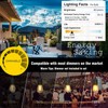 Achin Outdoor String Lights 48FT Dimmable Warm 2200K LED Patio
