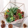 Whaline Christmas Wreath Making Decoration Artificial Pine Cone Berry Set