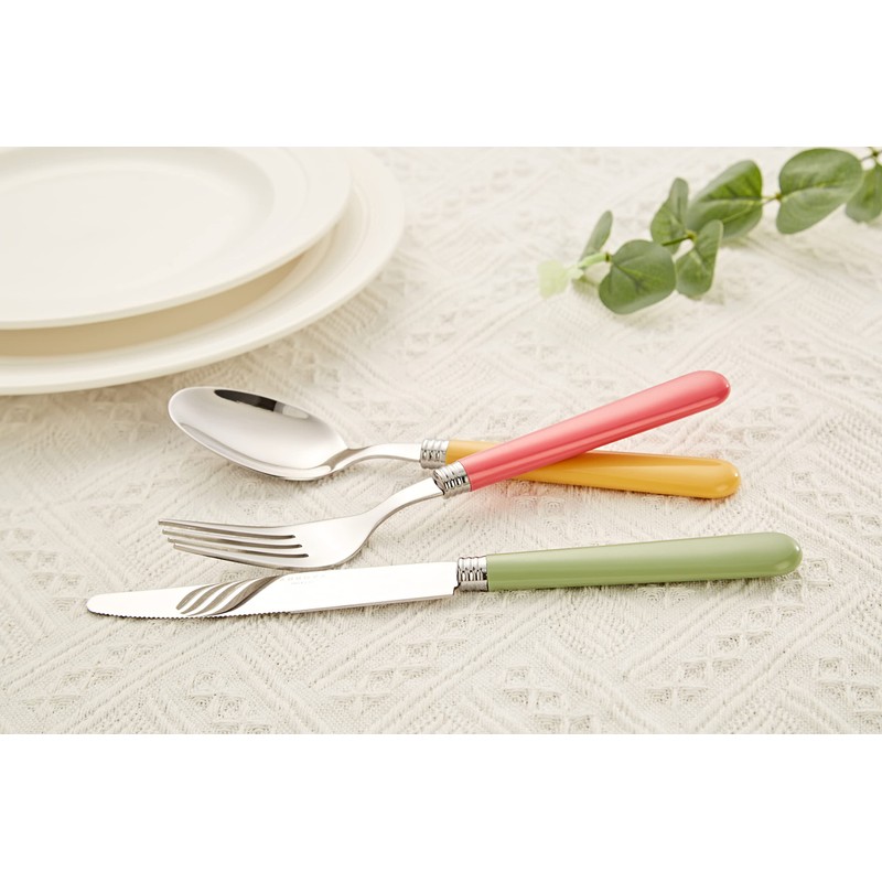 ANNOVA Silverware Set 20 Pieces Stainless Steel Cutlery Color Handle