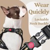 rabbitgoo Dog Harness Small Sized, No Pull Pet Harness with