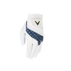 Callaway Golf Fusion Men's Golf Glove 2025 - Europe Colours,