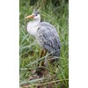 Hi-Line Gift 87687-A Heron Standing Statue
