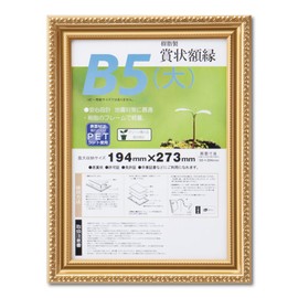 Daisen J045B1600 Picture Frame, Gold Erasing, R, B5 Large, Resin, Shrink Pack