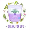 Charlie's Soap Booster & Hard Water Treatment (2.64 Lbs, 2