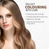 Indus Valley Organic 100% Pure and Natural Henna Hair Colour