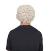 Costume Agent Uncle Drew Adult Hallloween Costume Accessory Wig Beard