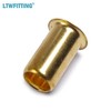 'Brass Fittings Insert 5/8 in Hose for Special Screw (50