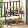 2 Tier Spice Rack, Standing, Metal Spice Rack, Kitchen Shelf,