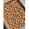 Hazelnuts in shell, Raw or roasted. Grown in our family's