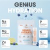 Genius Hydrate Stick Pack Powder Drink Mix – Blue Raspberry