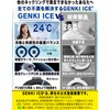 Genki The Originator of the Extra Edition 24 Years Reevolved!