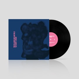 That Wasn't a Dream (LP) [Vinyl LP]