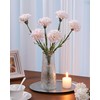 DuHouse 6pcs Carnations Artificial Flowers Latex Carnation Flowers,Real Touch Carnations