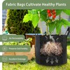 GreatBuddy 12-Pack Grow Bags 5 Gallon, Thick Fabric Planter Bags