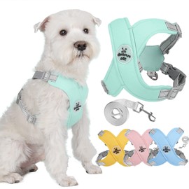 Zunea No Pull Dog Harnesses and Lead Set for Small Medium Dogs Adjustable Reflective Puppy Vest Harness Soft Breathable Mesh Padded Lightweight Vest with Back Clip for Chihuahua French Bulldog Green L