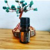 Doterra Motivate Mezcla De Aceites Esenciales Doterra 5 Ml