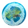 Maui Soap Co Loofah Soap – Hawaiian Water with Sea