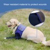 Coodeo Dog Recovery Suit, Cone Collar Alternative, Abrasion Resistant Dog