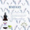 Loción 7 De Los Arcangeles - Armonia, Protección, Bienestar Loción