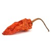 Ghost Chili Pepper - Bhut Jolokia - Flakes 4 Oz