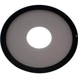 ColorRight Classic Neutral- White Balance Filter- Includes Super Gray Card- Quick Release Lanyard- Universal Size Fits 82mm, 77mm, 72mm, 67mm, 62mm, 58mm, 52mm, Canon, Nikon, Sony, Pentax, Olympus, Minolta- Works with ANY Camera or Video Camera with Cust