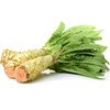 CEMEHA SEEDS - Seeds Asparagus Lettuce Uysun for Salad Non