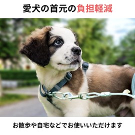 JP Number Long Lead, Dog Leash Pet Supplies, Heavy Duty Steel Wire, For Training, Small Dogs, Medium Dogs, Large, 16.4 ft (5 m), Blue