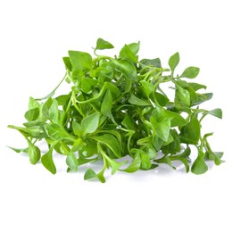 Watercress Garden Seeds - 1 Oz - Non-GMO, Heirloom, Vegetable Gardening Cress & Microgreens Seeds
