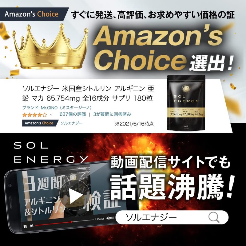 Mr.GINO ソルエナジー 米国産シトルリン アルギニン サプリ 亜鉛 マカ 全16成分 65,754mg 180粒