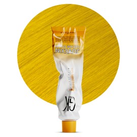 GK HAIR Global Keratin Professional Hair Color Cream Tube (3.4 Fl Oz/100ml) Nourishing & Cleansing Colors for Styling High Performance Long Lasting Permanent Natural Toner Dye