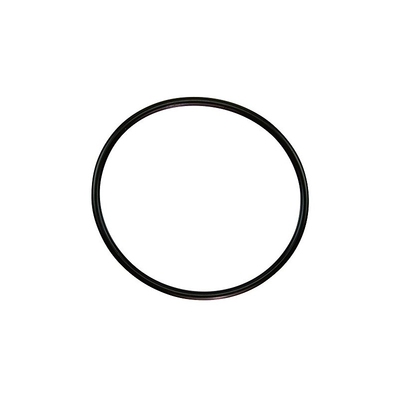 Pentair 350013 Lid O-Ring, Challenger (All), WFE (After 11/98)
