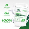 PVL 100% Pure Creatine | Creatine Monohydrate Micronized Powder |