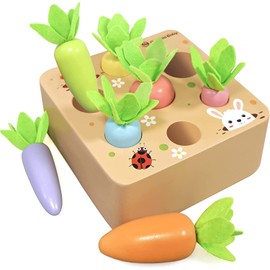 Holzspielzeug ab 1 Jahr | Baby Motorik Spielzeug für 12 18 Monate Jungen Mädchen | Montessori Sortierspiel Holzpuzzle Karotten | Lernspielzeug Ostergeschenke Geburtztag Geschenk für Kinder 2 3 Jahr