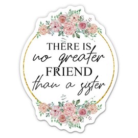 There is No Greater Friend Than a Sister Sticker - 3" Laptop Sticker - Waterproof Vinyl for Car, Phone, Water Bottle - Best Friend Decal