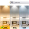Wesome Lighting 8 Pack 12 Inch F8T5/WW Fluorescent Light Bulb,