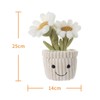 Apricot Lamb Plush Toy Plant Daisy Daisy Plush Toy Plush