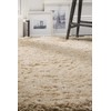 SAFAVIEH Polar Shag Collection Accent Rug - 2' x 3',