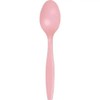 Creative Converting Touch of Color Premium 24 Count Plastic Spoons,