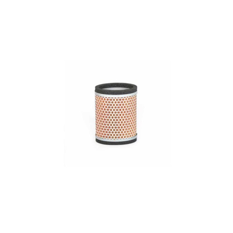 Triumph Air Filter T2202450