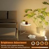 2 Pack LED Spot Lights Indoor, 5W Uplighting with Remote
