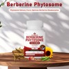 Spliferkou 7-in-1 Berberine Phytosome with Ceylon Cinnamon, Berberine Complex Supports