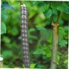 FUNOMOCYA 4pcs Tree Guards Plastic Spiral Wraps for Winter Protection